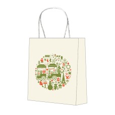 9.8''x 10.6'' x 5.2''Shopping Bags With Paper Handle Full Color Printing 10000pcs