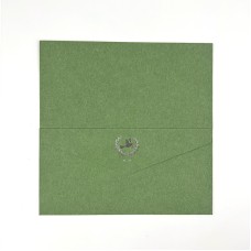 Gold Foil Logo Premioum Green Envelopes Gift Envelopes